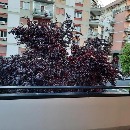 Maritza S House In Rome